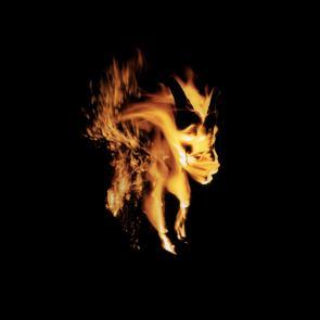 Entre les barbelés Ludovic Alussi