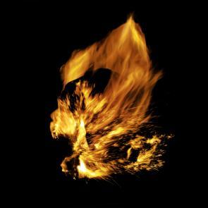 Entre les barbelés Ludovic Alussi