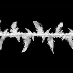 Entre les barbelés Ludovic Alussi