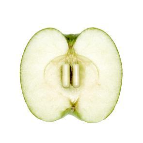 Malbouffe Ludovic Alussi