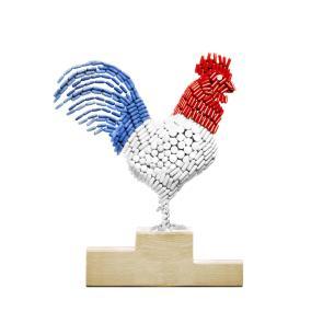 Santé Ludovic Alussi