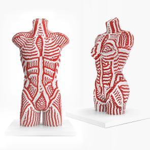 Santé Ludovic Alussi