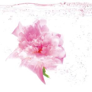 Matières Ludocic Alussi