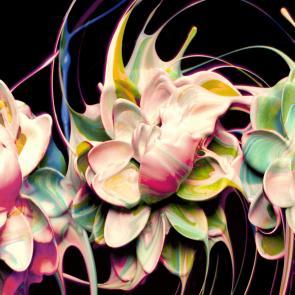 Matières Ludocic Alussi