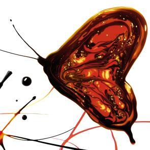 Matières Ludocic Alussi