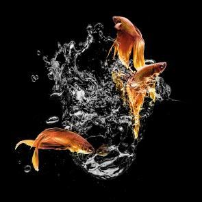 Matières Ludocic Alussi