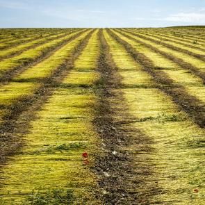 Quand le textile français renoue le fil Raphaël Helle