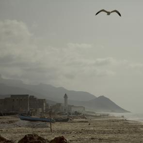 Yémen 2024 2006 Xavier Lambours