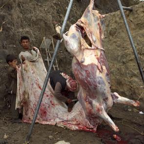 Yémen 2024 2006 Xavier Lambours