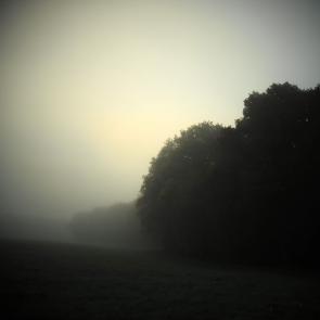 Promenons-nous dans le bois Patrick Bard