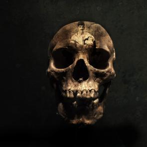 Calaveras Patrick Bard