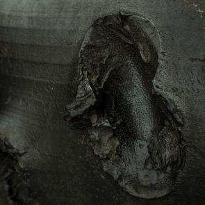 Après, la mer Thierry Borredon