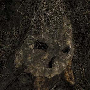 Après, la mer Thierry Borredon