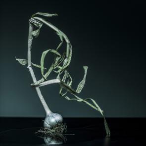 Still life Joanna Tarlet Gauteur