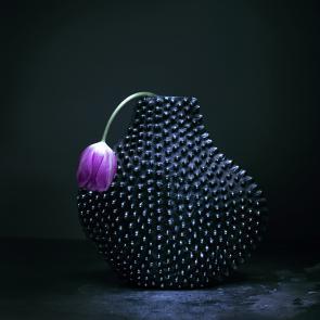 Dancing Tulips Joanna Tarlet Gauteur