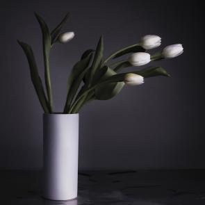 Dancing Tulips Joanna Tarlet Gauteur