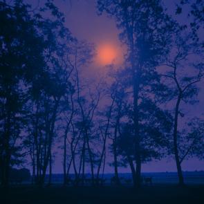 Les Doutes Arno Brignon
