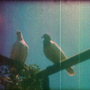 Les Doutes Arno Brignon