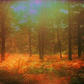 Les Doutes Arno Brignon