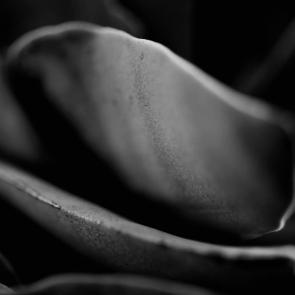 Insulaire, sur les traces de Saint-John Perse Sandrine Expilly