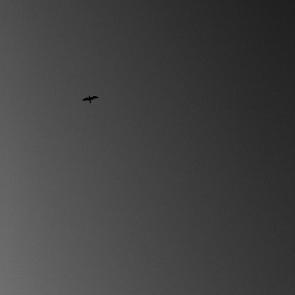 Insulaire, sur les traces de Saint-John Perse Sandrine Expilly