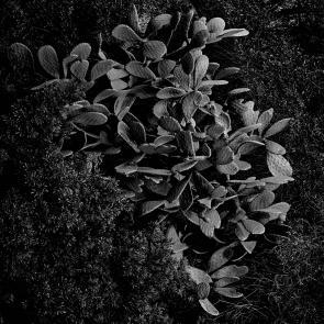 Insulaire, sur les traces de Saint-John Perse Sandrine Expilly