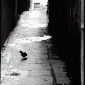 Le voyage en Italie Carole Bellaïche