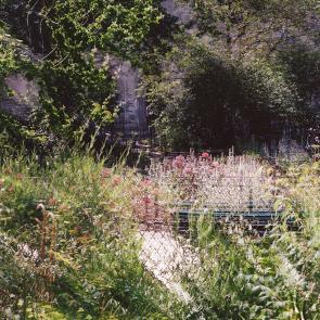 Fleurs et jardins Carole Bellaïche