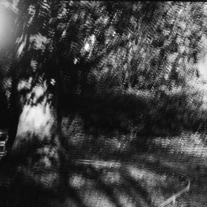 Fleurs et jardins Carole Bellaïche