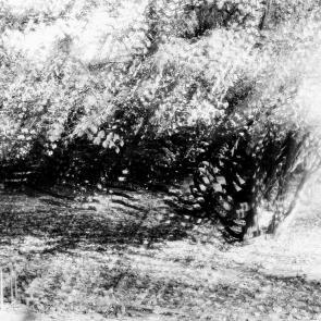 Fleurs et jardins Carole Bellaïche