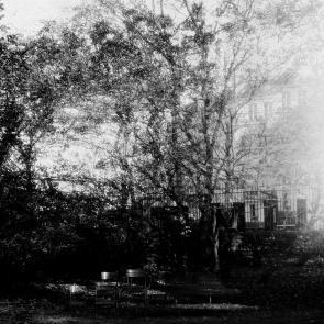 Fleurs et jardins Carole Bellaïche