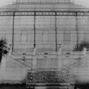 Fleurs et jardins Carole Bellaïche