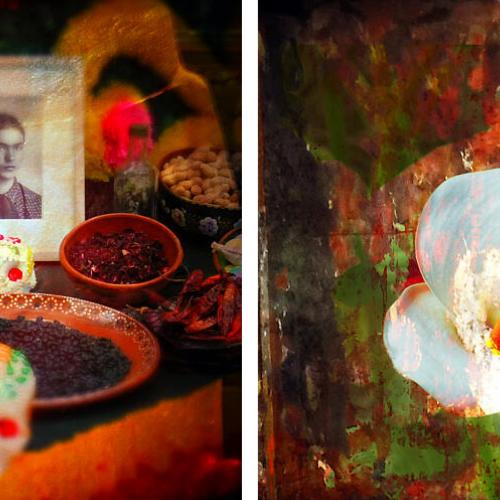 Casa Azul Patrick Bard