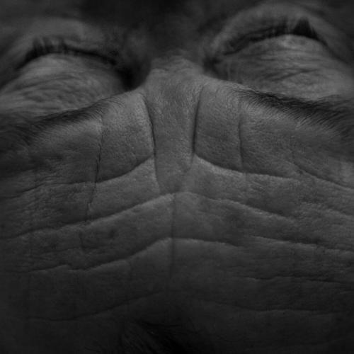 In Fine Eric Dexheimer