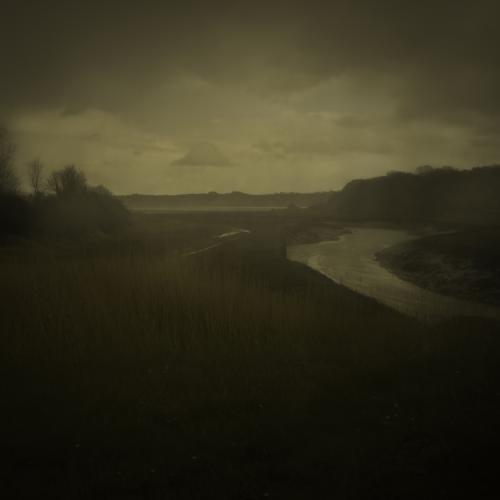 Une image Thierry Borrédon