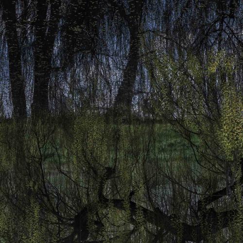 Matière primaire Didier Goupy